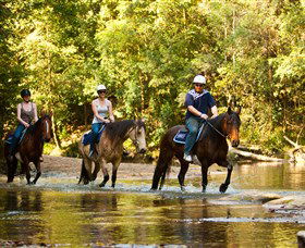 Glenworth Valley Outdoor Adventures - Tourism Noosa 2