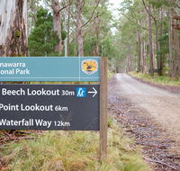 Beech lookout - Tourism Noosa
