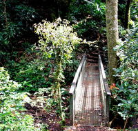 Richmond Range National Park - Tourism Noosa