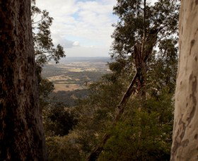 Heaton State Forest - Watagan Mountains - Tourism Noosa 1