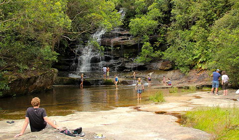 Somersby Falls Picnic Area - Tourism Noosa 0