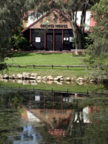 Hervey Bay Botanic Gardens - Tourism Noosa 1
