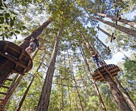 TreeTop Adventure Park Central Coast - Tourism Noosa 0