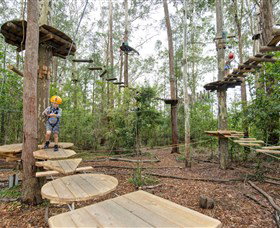 TreeTop Adventure Park Central Coast - Tourism Noosa 1