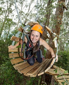 TreeTop Adventure Park Central Coast - Tourism Noosa 3