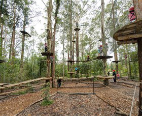TreeTop Adventure Park Central Coast - Tourism Noosa 5