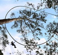 TreeTops Crazy Rider - Tourism Noosa