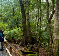 Monga National Park - Tourism Noosa