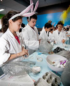 Australian Nuclear Science And Technology Organisation - Tourism Noosa 1