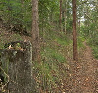Border loop walk - Tourism Noosa