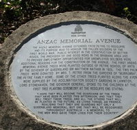 Anzac Memorial Avenue Redcliffe - Tourism Noosa