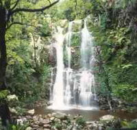 Budderoo National Park - The Falls Walk - Tourism Noosa
