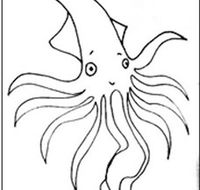 Squid Studio - Tourism Noosa