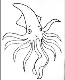 Squid Studio - Tourism Noosa 0