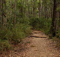 Pigeon House Mountain Didthul walking track - Tourism Noosa