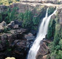 Minnamurra Rainforest Centre Budderoo National Park - Tourism Noosa
