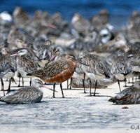 Cooloola Nature - Tourism Noosa