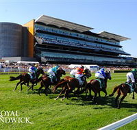 Royal Randwick Racecourse - Tourism Noosa
