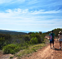 Moonee Beach trail - Tourism Noosa