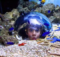 Sea Life Sunshine Coast - Tourism Noosa
