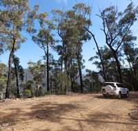 Wadbilliga Road drive - Tourism Noosa