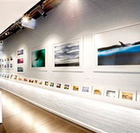 Aquabumps - Tourism Noosa