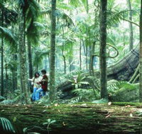 Illinbah circuit - Tourism Noosa