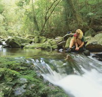 Dave's Creek circuit - Tourism Noosa
