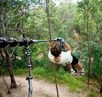 TreeTop Challenge - Tourism Noosa