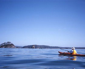 Surfside NSW Tourism Noosa