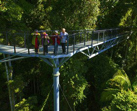 Tamborine Rainforest Skywalk - Tourism Noosa 1