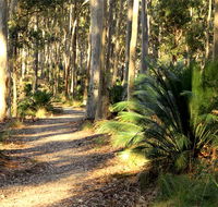 Square Head track 2 - Tourism Noosa
