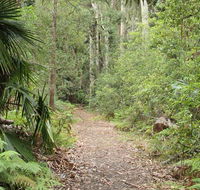 Lake walking track - Tourism Noosa