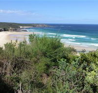 South Pacific Heathland Reserve - Tourism Noosa