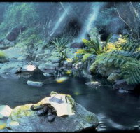 Coomera circuit - Tourism Noosa