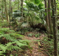 Durras Lake Discovery trail - Tourism Noosa