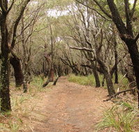 Pretty Beach to Snapper Point walking track - Tourism Noosa