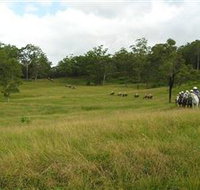 Numinbah Valley Adventure Trails - Tourism Noosa