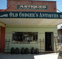 Old Codgers Antiques - Tourism Noosa