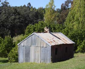 Oak Grove Walk, Balingup - Tourism Noosa 1