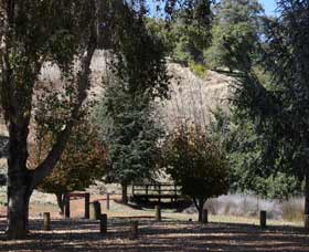 Oak Grove Walk, Balingup - Tourism Noosa 2