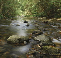 Plateau Circuit loop trail - Tourism Noosa