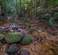 Starrs Creek picnic area - Tourism Noosa