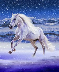 Australian Outback Spectacular: High Country Legends - Tourism Noosa 1