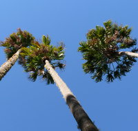 Bindarri National Park - Tourism Noosa