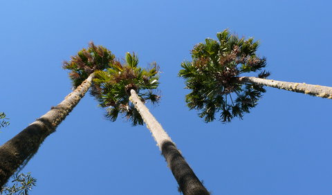 Bindarri National Park - Tourism Noosa 0
