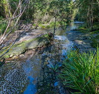 Dawson River walking track - Tourism Noosa