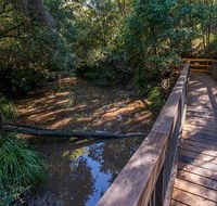 Ms Kellys walking track - Tourism Noosa