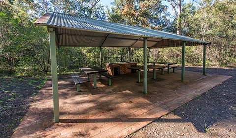 Brimbin Picnic Area - Tourism Noosa 0