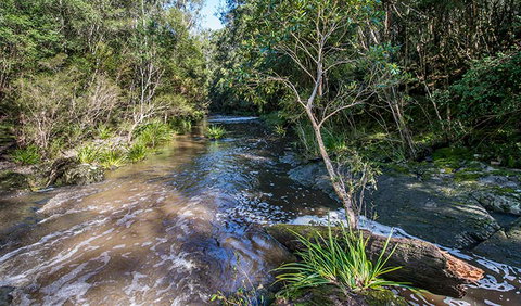 Brimbin Picnic Area - Tourism Noosa 2